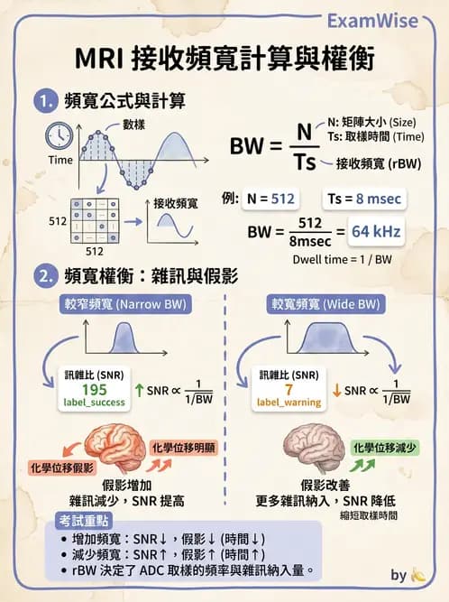 放射 - 空間編碼與影像品質 - AI 圖文解析預覽