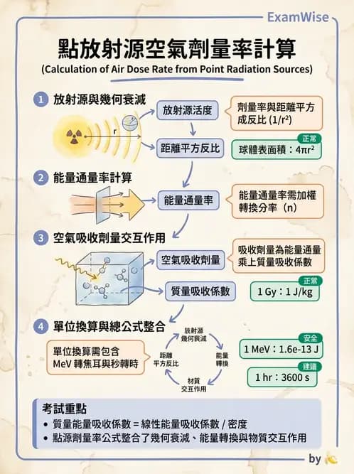 放射 - 體外劑量 - AI 圖文解析預覽