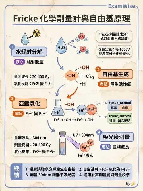 放射 - 劑量計 - AI 圖文解析預覽