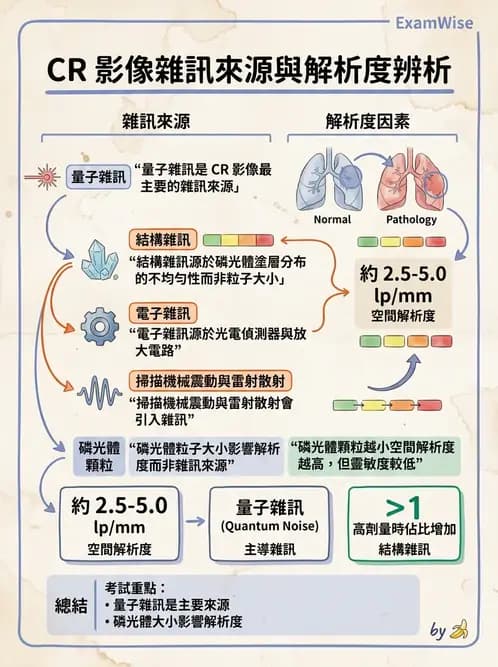 放射 - 電腦放射攝影(CR)原理與應用 - AI 圖文解析預覽