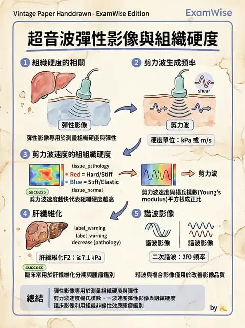 放射 - 超音波進階成像與假影 - AI 圖文解析預覽