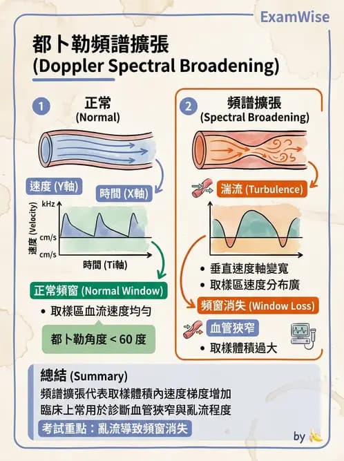 放射 - 都普勒超音波 - AI 圖文解析預覽