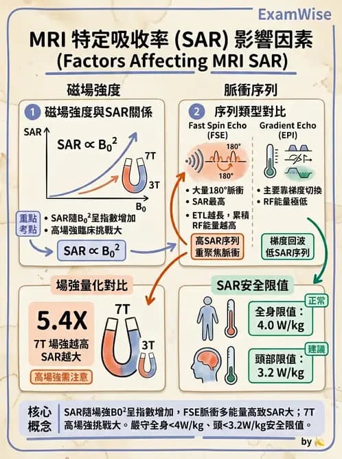 放射 - 磁場與射頻屏蔽 - AI 圖文解析預覽