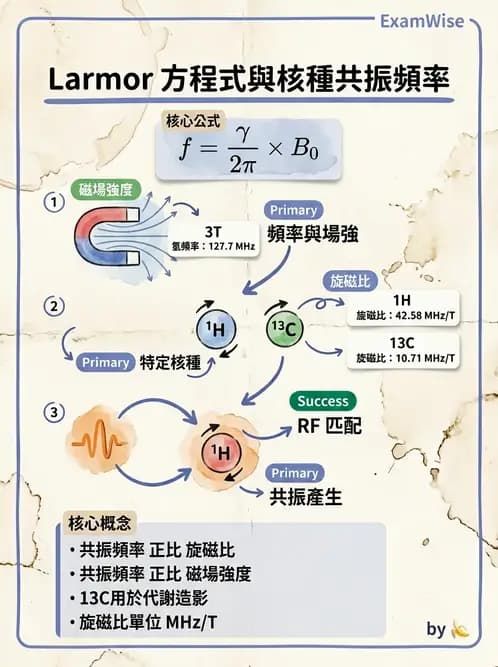 放射 - 射頻系統與線圈 - AI 圖文解析預覽