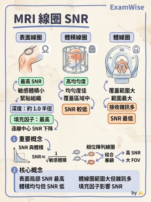 放射 - 射頻系統與線圈 - AI 圖文解析預覽