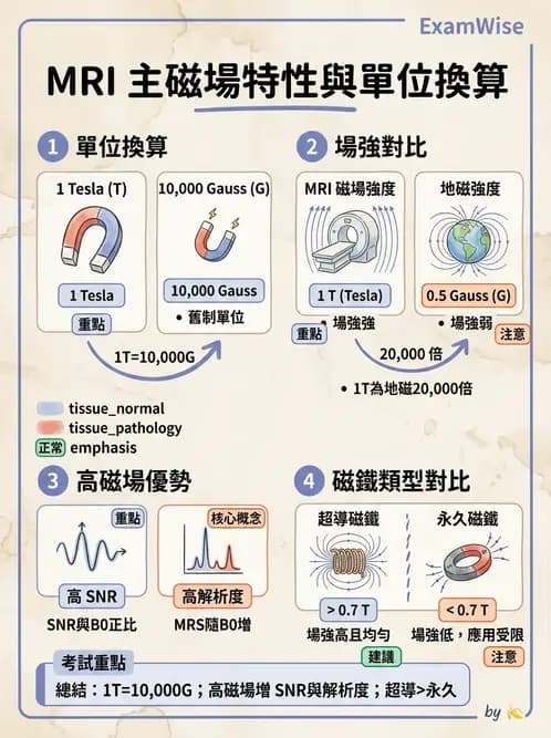 放射 - 主磁場、磁鐵類型與勻場 - AI 圖文解析預覽