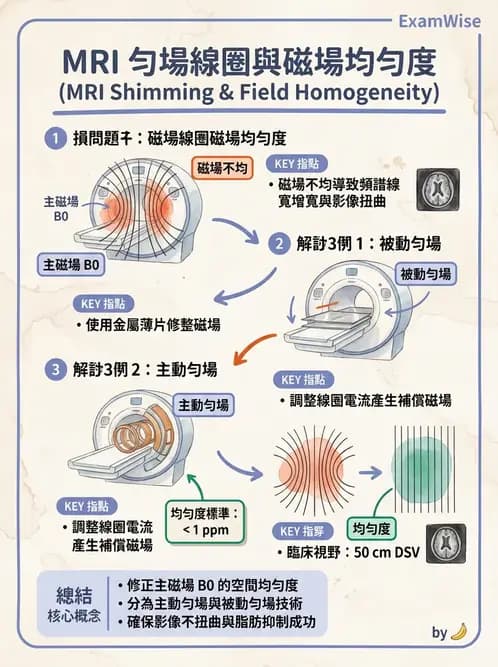 放射 - 主磁場、磁鐵類型與勻場 - AI 圖文解析預覽