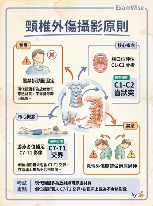 放射 - 頭頸脊椎攝影技術 - AI 圖文解析預覽
