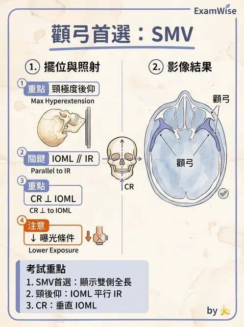 放射 - 頭頸脊椎攝影技術 - AI 圖文解析預覽