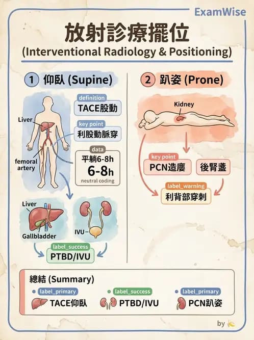 放射 - 導管技術與介入性治療 - AI 圖文解析預覽
