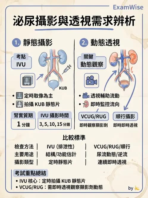 放射 - 泌尿生殖攝影 - AI 圖文解析預覽