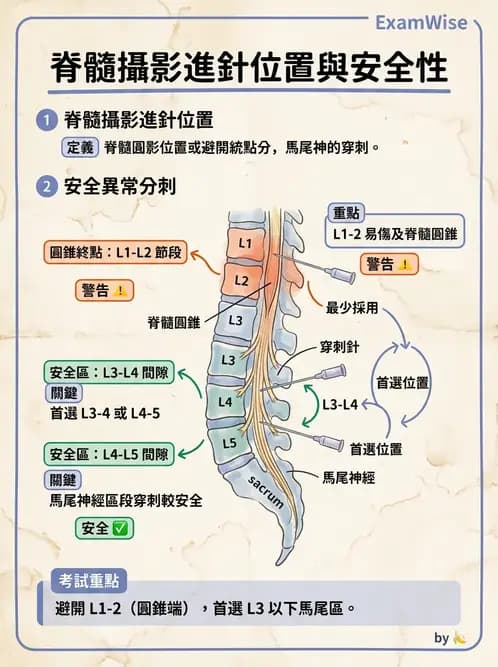放射 - 頭頸脊椎攝影技術 - AI 圖文解析預覽