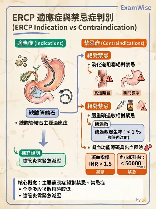 放射 - 消化道造影 - AI 圖文解析預覽