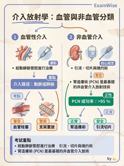 放射 - 導管技術與介入性治療 - AI 圖文解析預覽