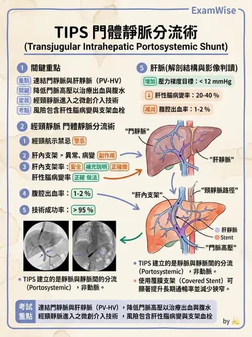 放射 - 導管技術與介入性治療 - AI 圖文解析預覽