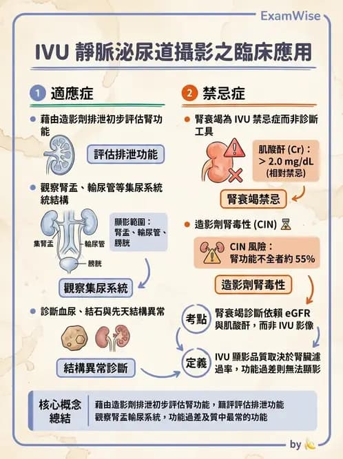 放射 - 泌尿生殖攝影 - AI 圖文解析預覽
