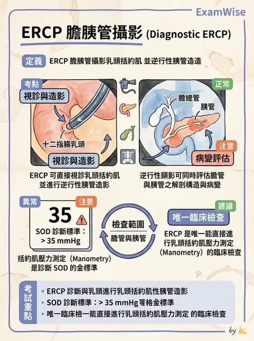 放射 - 消化道造影 - AI 圖文解析預覽