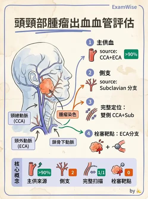 放射 - 血管攝影原理與解剖 - AI 圖文解析預覽