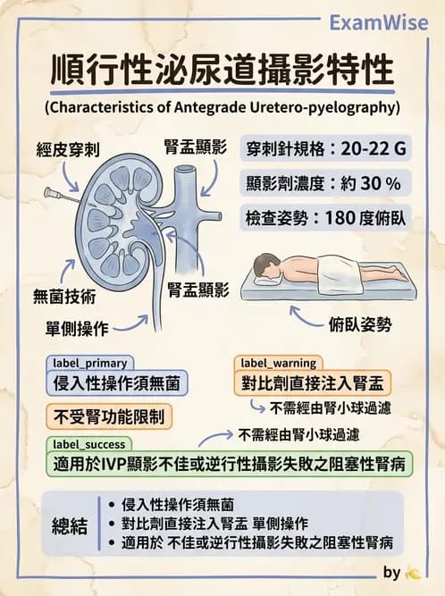 放射 - 泌尿生殖攝影 - AI 圖文解析預覽