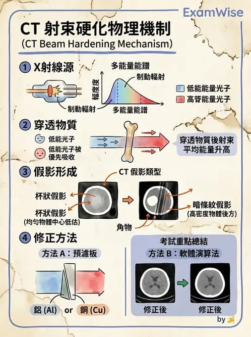 放射 - CT影像重建與品質 - AI 圖文解析預覽