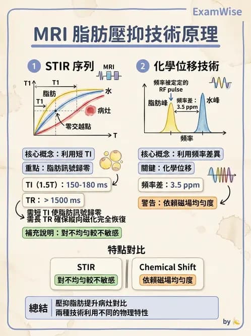 放射 - MRI脈衝序列與訊號技術 - AI 圖文解析預覽