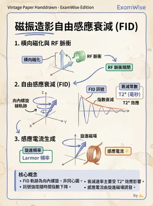 放射 - 磁振造影原理 - AI 圖文解析預覽