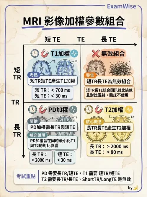 放射 - 磁振影像品質與參數 - AI 圖文解析預覽