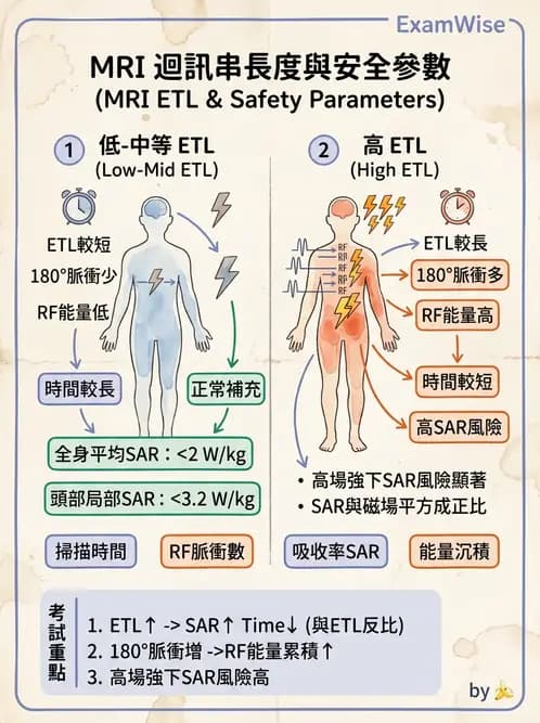 放射 - MRI脈衝序列與訊號技術 - AI 圖文解析預覽