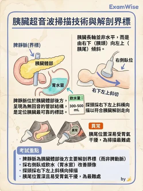 放射 - 膽胰脾超音波 - AI 圖文解析預覽
