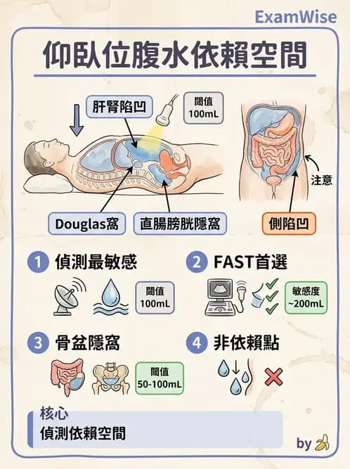 放射 - 腎臟血管與其他超音波 - AI 圖文解析預覽