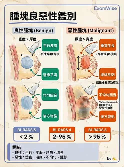 放射 - 泌尿生殖與小器官超音波 - AI 圖文解析預覽