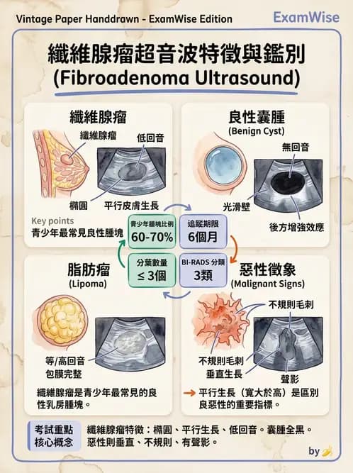 放射 - 泌尿生殖與小器官超音波 - AI 圖文解析預覽