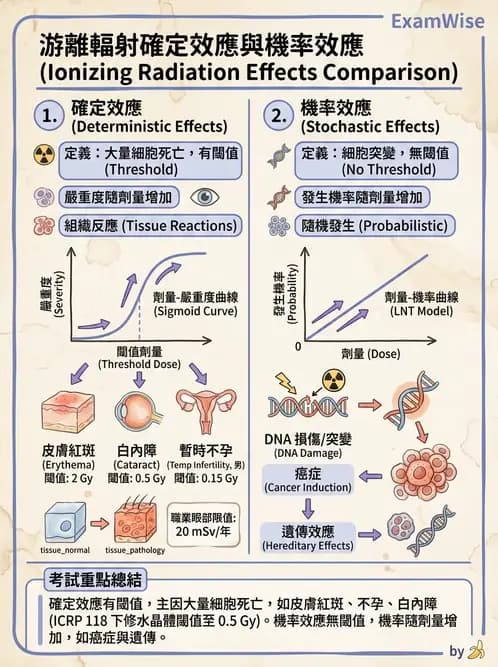 放射 - 輻射安全 - AI 圖文解析預覽
