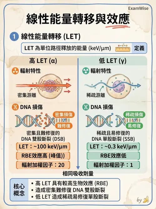 放射 - LET、RBE、OER與復氧效應 - AI 圖文解析預覽