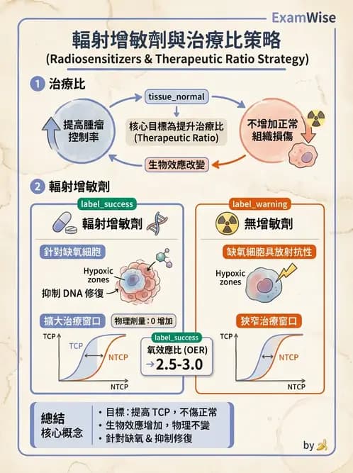 放射 - 輻射增敏與保護 - AI 圖文解析預覽