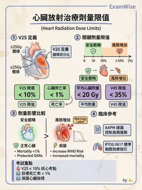 放射 - 疾病部位計畫與危急器官保護 - AI 圖文解析預覽