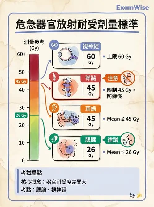 放射 - 疾病部位計畫與危急器官保護 - AI 圖文解析預覽