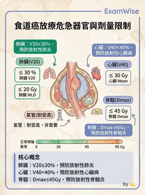 放射 - 疾病部位計畫與危急器官保護 - AI 圖文解析預覽