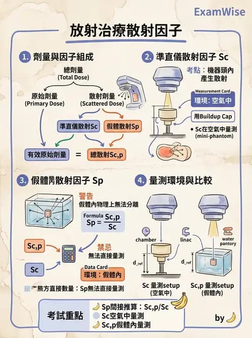 放射 - 劑量增建、散射因子與假體量測 - AI 圖文解析預覽