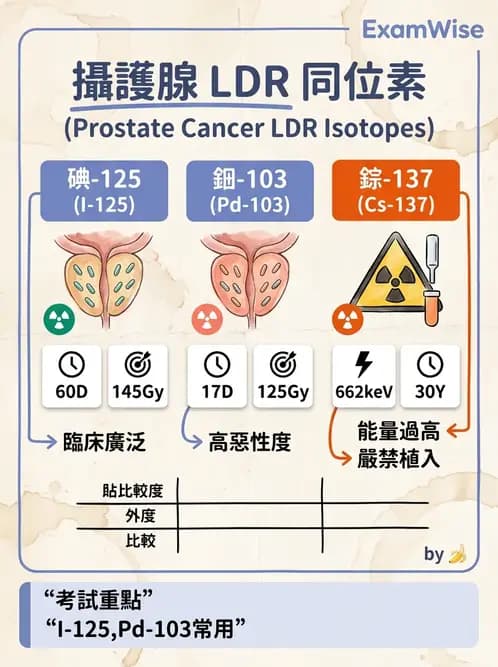 放射 - 插種近接治療 - AI 圖文解析預覽