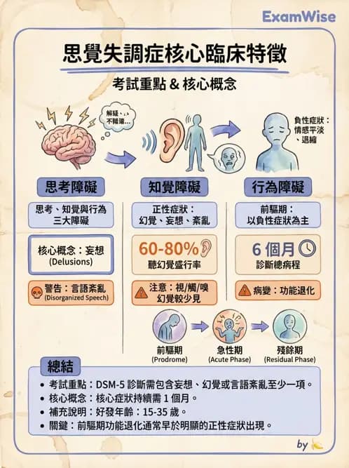 護理師 - 情感與思覺障礙綜合評估 - AI 圖文解析預覽