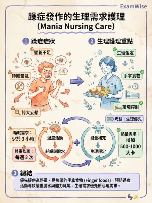 護理師 - 雙相情緒障礙護理 - AI 圖文解析預覽