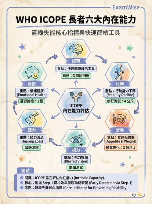 護理師 - 個案管理與照護評估 - AI 圖文解析預覽
