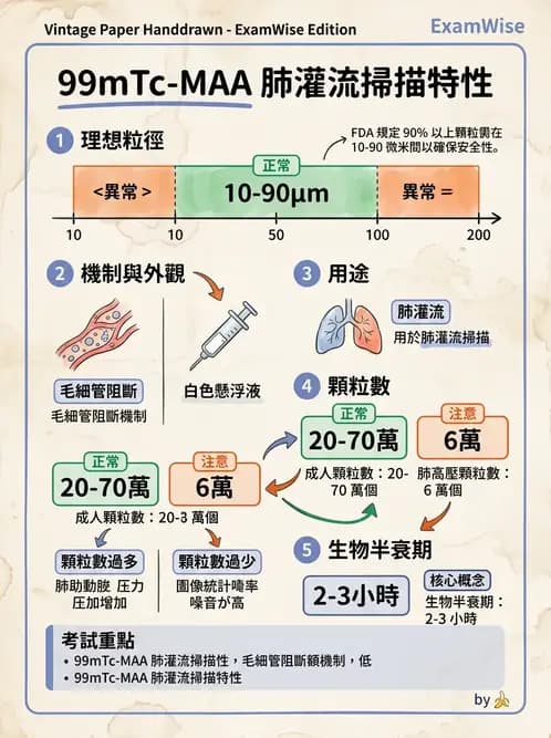 放射 - 肺肝膽與製劑通則 - AI 圖文解析預覽