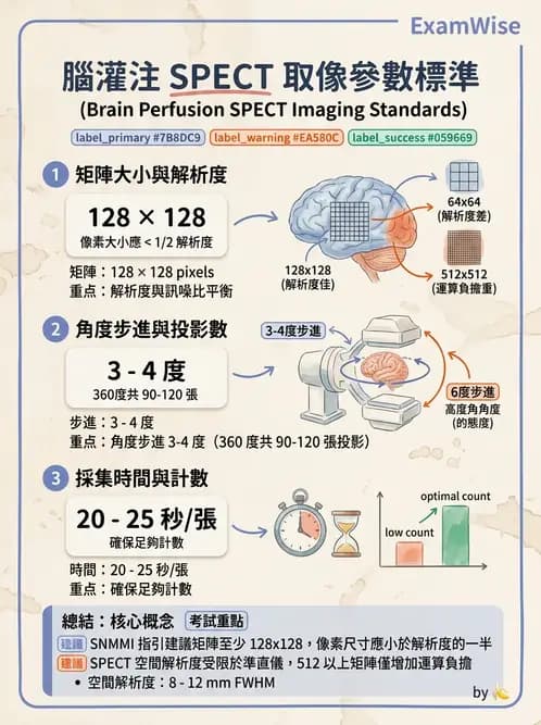 放射 - 腦部造影 - AI 圖文解析預覽