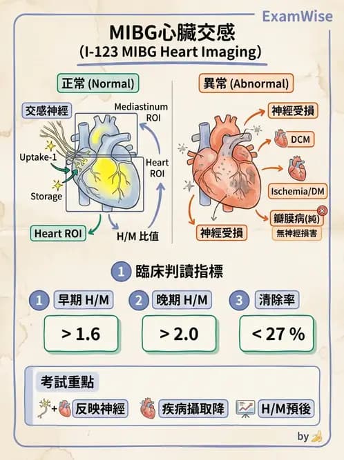 放射 - 心臟灌注造影 - AI 圖文解析預覽