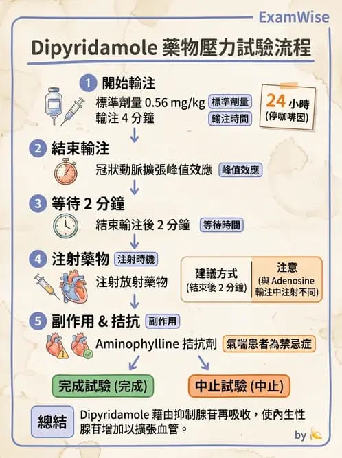 放射 - 心臟灌注造影 - AI 圖文解析預覽