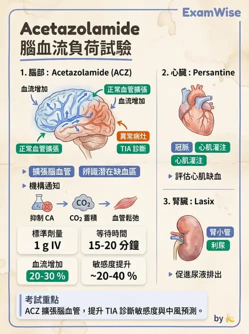 放射 - 腦部造影 - AI 圖文解析預覽