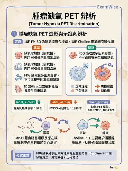 放射 - 腫瘤PET藥物 - AI 圖文解析預覽