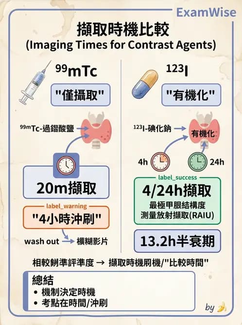 放射 - 甲狀腺造影 - AI 圖文解析預覽